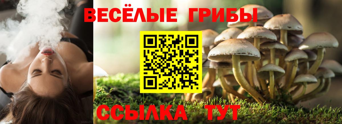 Галлюциногенные грибы Magic Shrooms  Вход с VPN  Усть-Илимск 